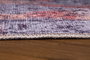 Conceptum Fusion Chenille - Yellow AL 115 Multicolor 150 x 230 cm